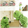 Turtle Plush Toy